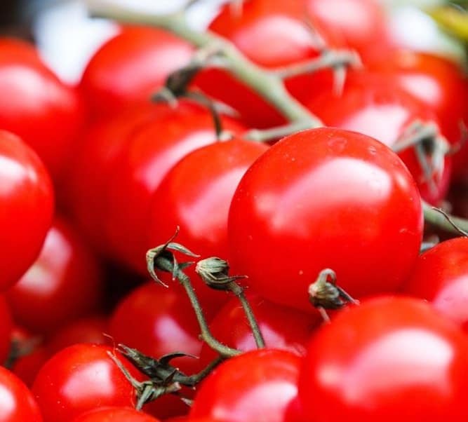 Review #02. Canned Tomatoes: Supermarket Basics vs premium