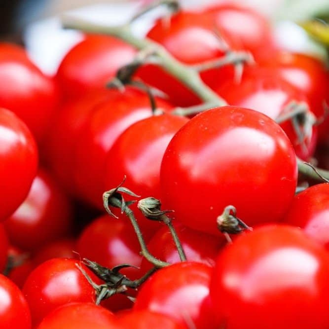 Review #02. Canned Tomatoes: Supermarket Basics vs premium